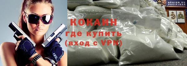 индика Абаза