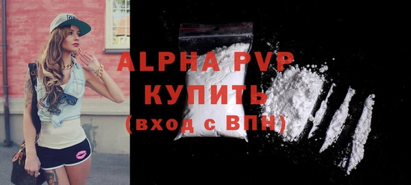 индика Абаза