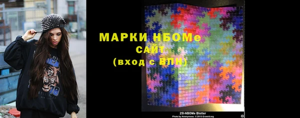 индика Абаза