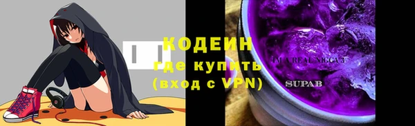 индика Абаза