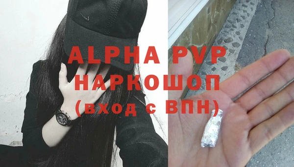 индика Абаза