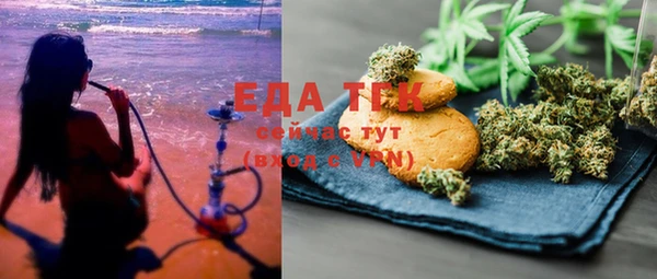 индика Абаза