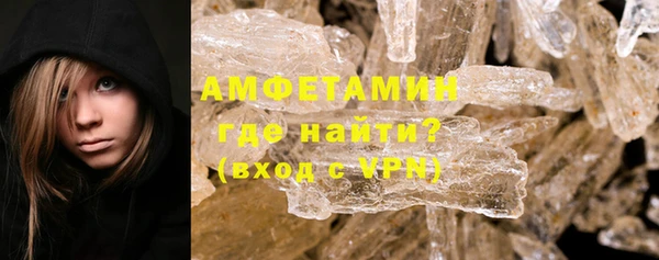 индика Абаза